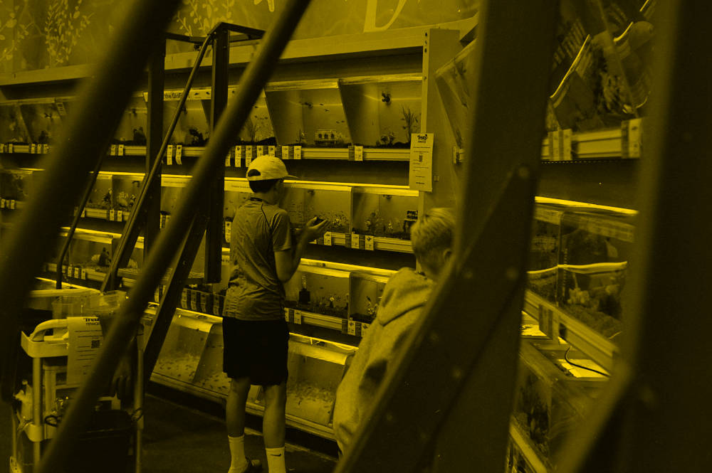 8 decisiones asertivas